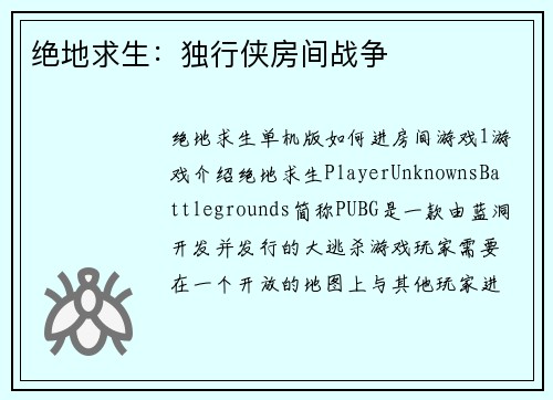 绝地求生：独行侠房间战争